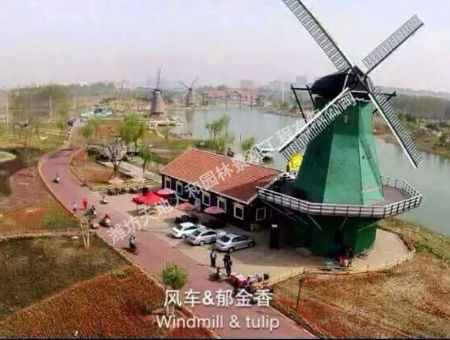 点击查看详细信息<br>标题：滨州秦皇河实地1 阅读次数：1563